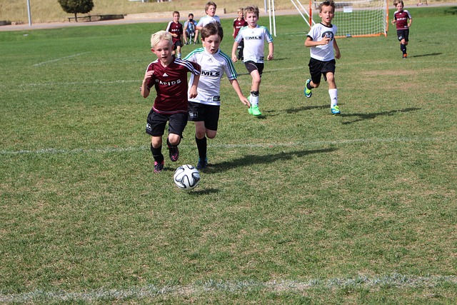 手段成为另 手段成为另