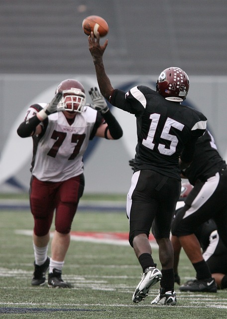 赛的日常运 赛的日常运