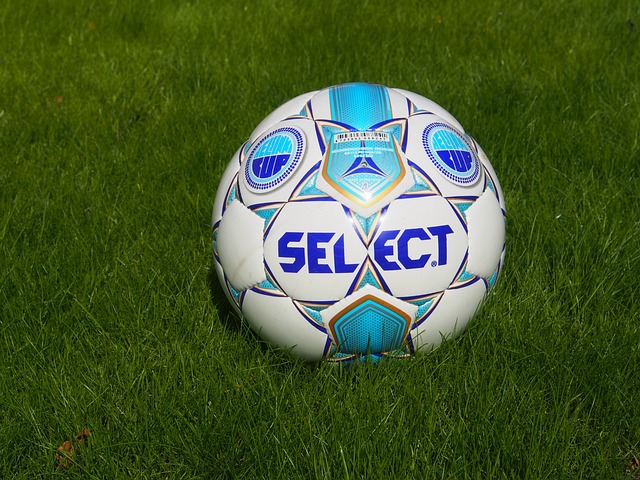 合会主席在 合会主席在