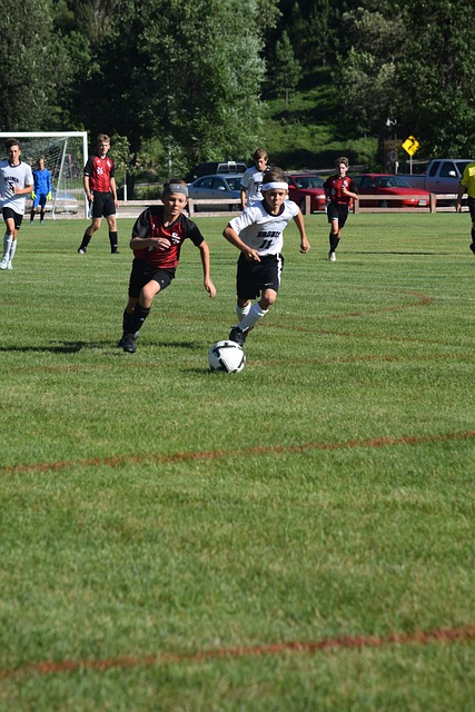 核心球員因 核心球員因