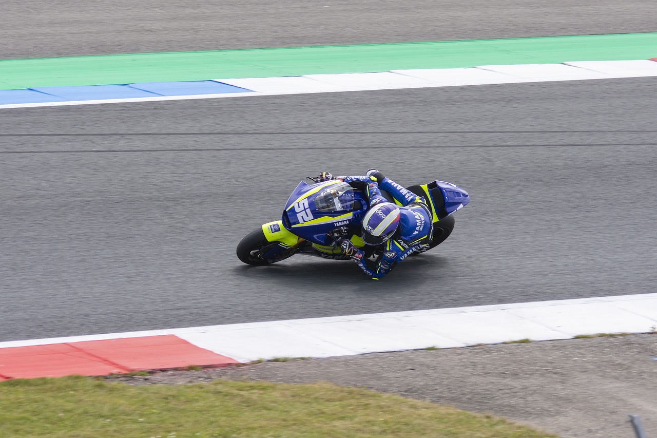 了填补当下 了填补当下