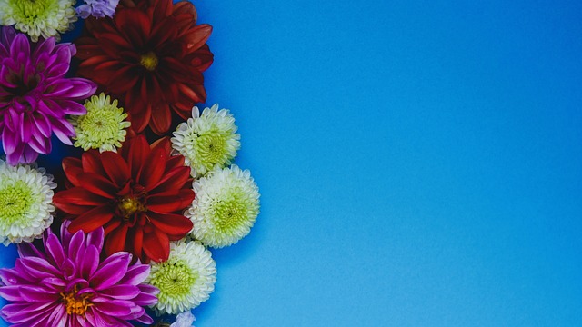 聯賽中的足 聯賽中的足