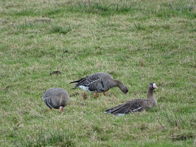 创意合影 创意合影