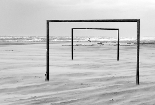 已成为游客 已成为游客