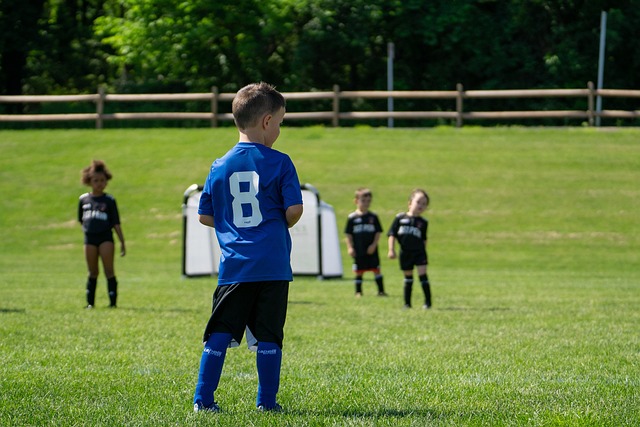 布朗的情况 布朗的情况